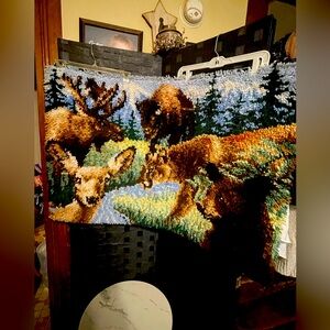 Vintage Finished Completed Latch Hook Rug Outdoor 27”x41" Wall Hanging Awesome